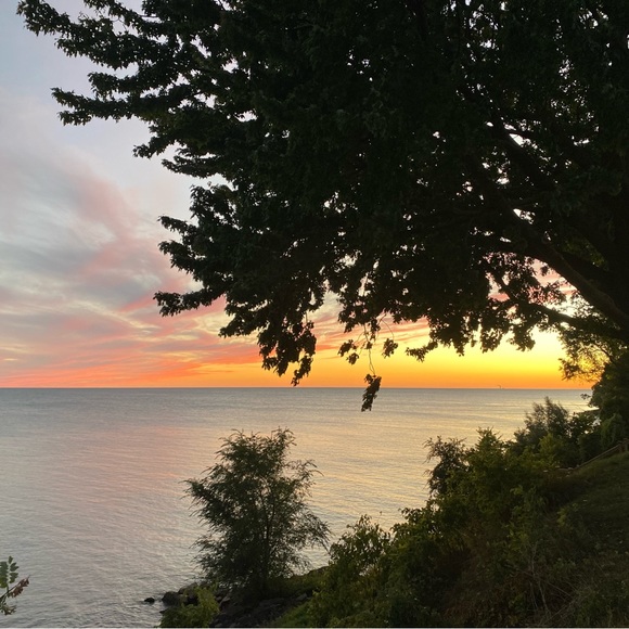 Meet your Posher, Tara - Picture 1 of 1